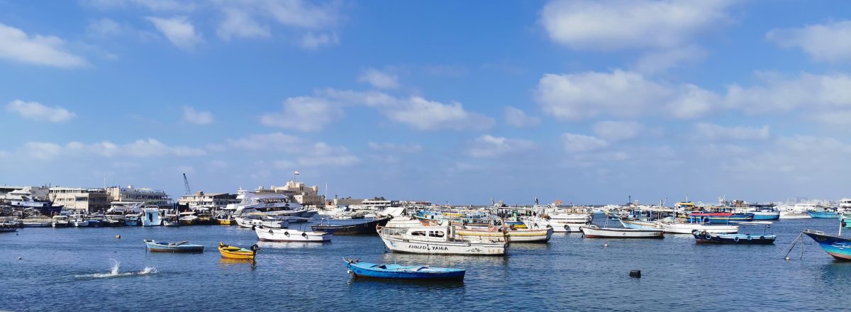 Programme prévisionnel Alexandrie